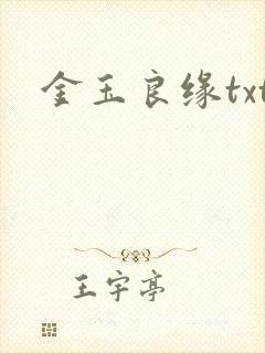 金玉良缘txt