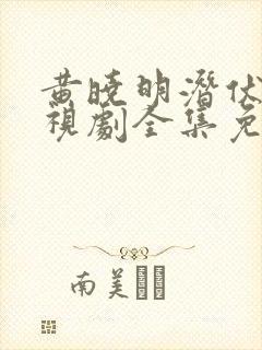 黄晓明潜伏者电视剧全集免费观看