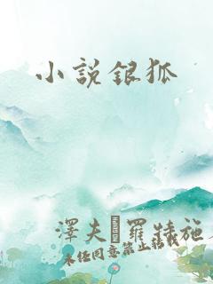 小说银狐