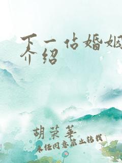 下一站婚姻剧情介绍