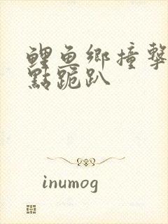 鲤鱼乡撞击敏感点跪趴