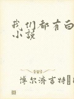 我们都有白月光小说