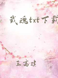 武魂txt下载