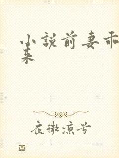 小说前妻乖乖回来