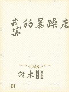 我的暴躁老妈全集