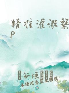 精准灌溉系统hp