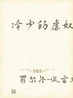 冷少的虐奴
