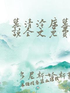 慕清泠席慕深小说全文免费阅读