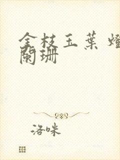 金枝玉叶 灯火阑珊