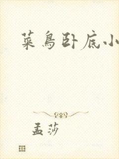 菜鸟卧底小正太