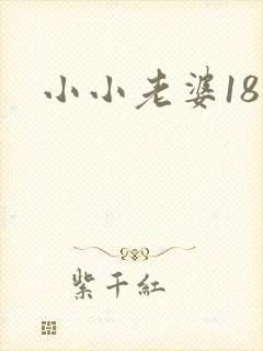 小小老婆18岁