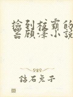 捡到校霸的遥控器顾泽小说免费阅读