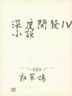 深度开发1V3小说