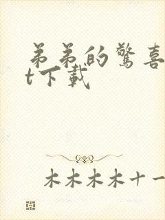 弟弟的惊喜txt下载