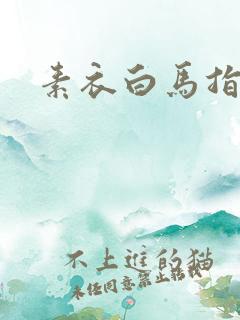 素衣白马指天下