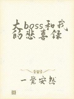 大boss和我的悲喜录