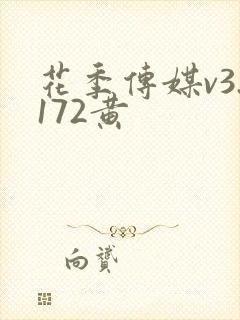 花季传媒v3.172黄