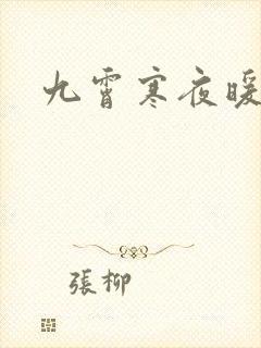 九霄寒夜暖小说