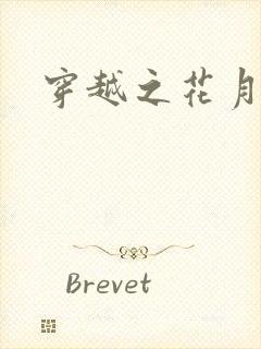 穿越之花月弄影