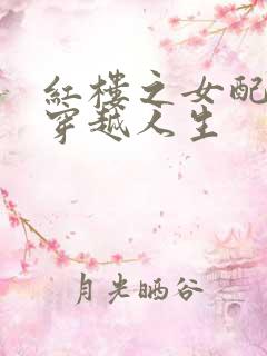 红楼之女配角的穿越人生