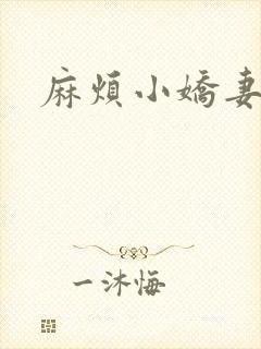 麻烦小娇妻