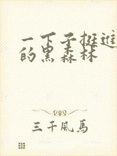 一下子挺进浓密的黑森林