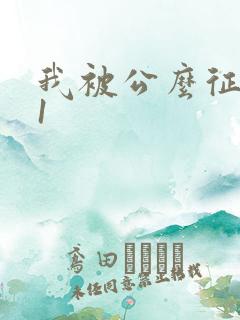 我被公么征服了1