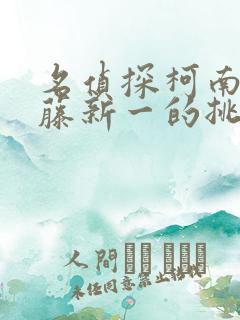 名侦探柯南给工藤新一的挑战书