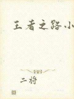 王者之路小说