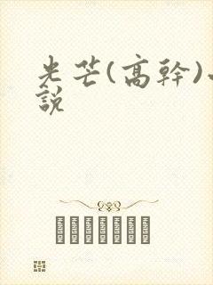 光芒(高干)小说