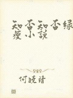 知否知否绿肥红瘦小说