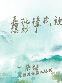 长批后我被宿敌爆炒了