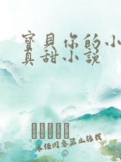 宝贝你的小花园真甜小说