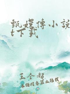 甄嬛传小说txt下载