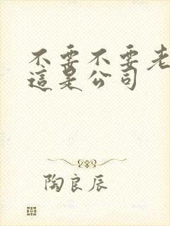 不要不要老板别这是公司