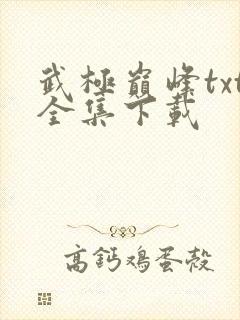 武极巅峰txt全集下载