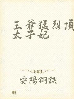 王爷猛烈顶弄H太子妃