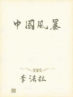 中国风暴