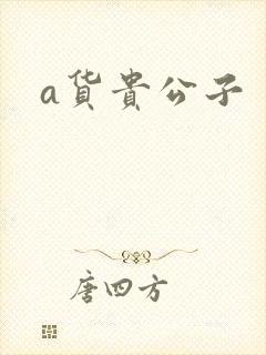 a货贵公子