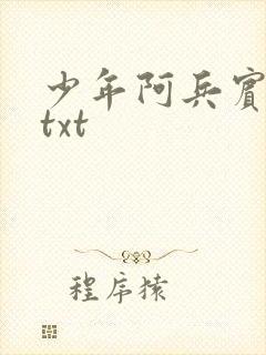 少年阿兵宾小说txt