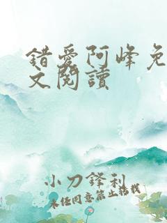 错爱阿峰免费全文阅读