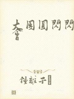 大团圆闪闪相亲会