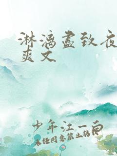 淋漓尽致夜晚小爽文