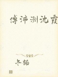 傅沛洲沈霞小说