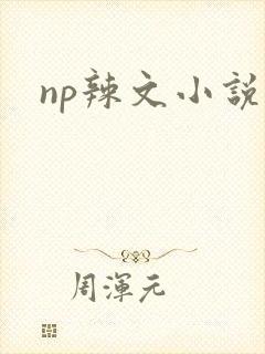 np辣文小说