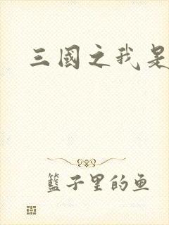 三国之我是华雄