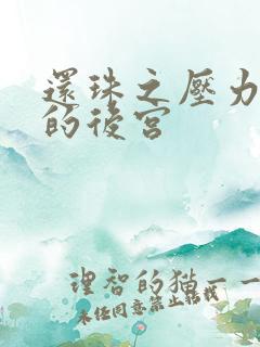 还珠之压力山大的后宫