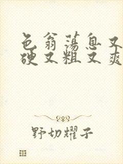 色翁荡息又大又硬又粗又爽小莹