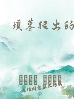 坟墓爬出的士兵