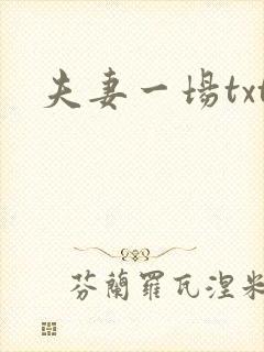 夫妻一场txt